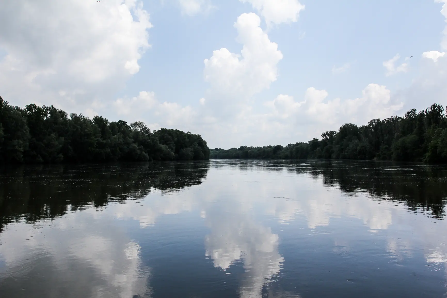 Dráva